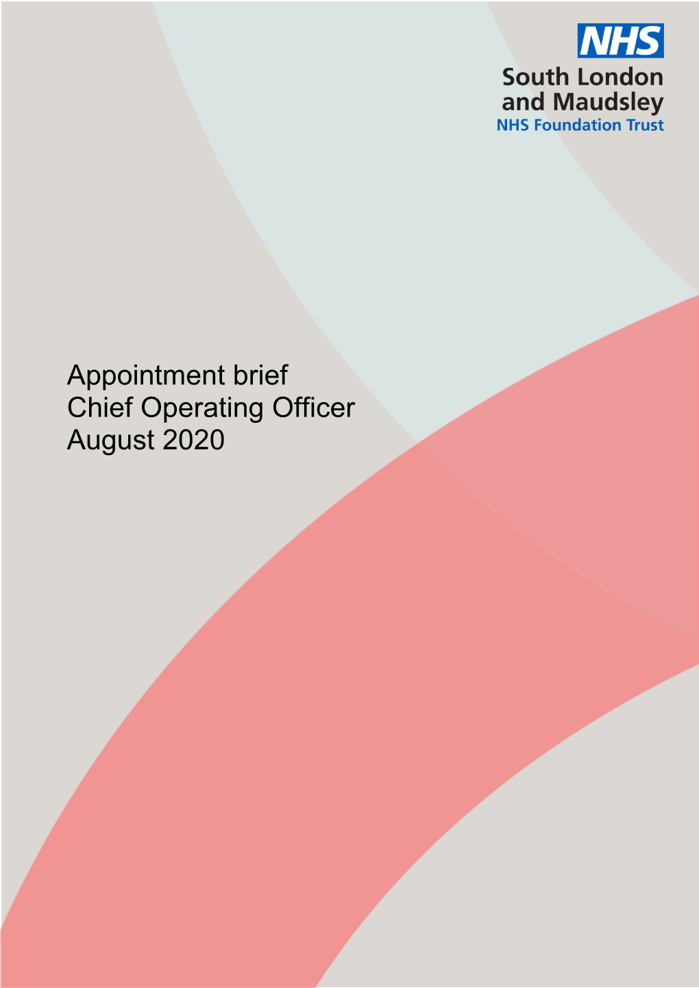 Appointment Brief Chief Operating Officer August 2020