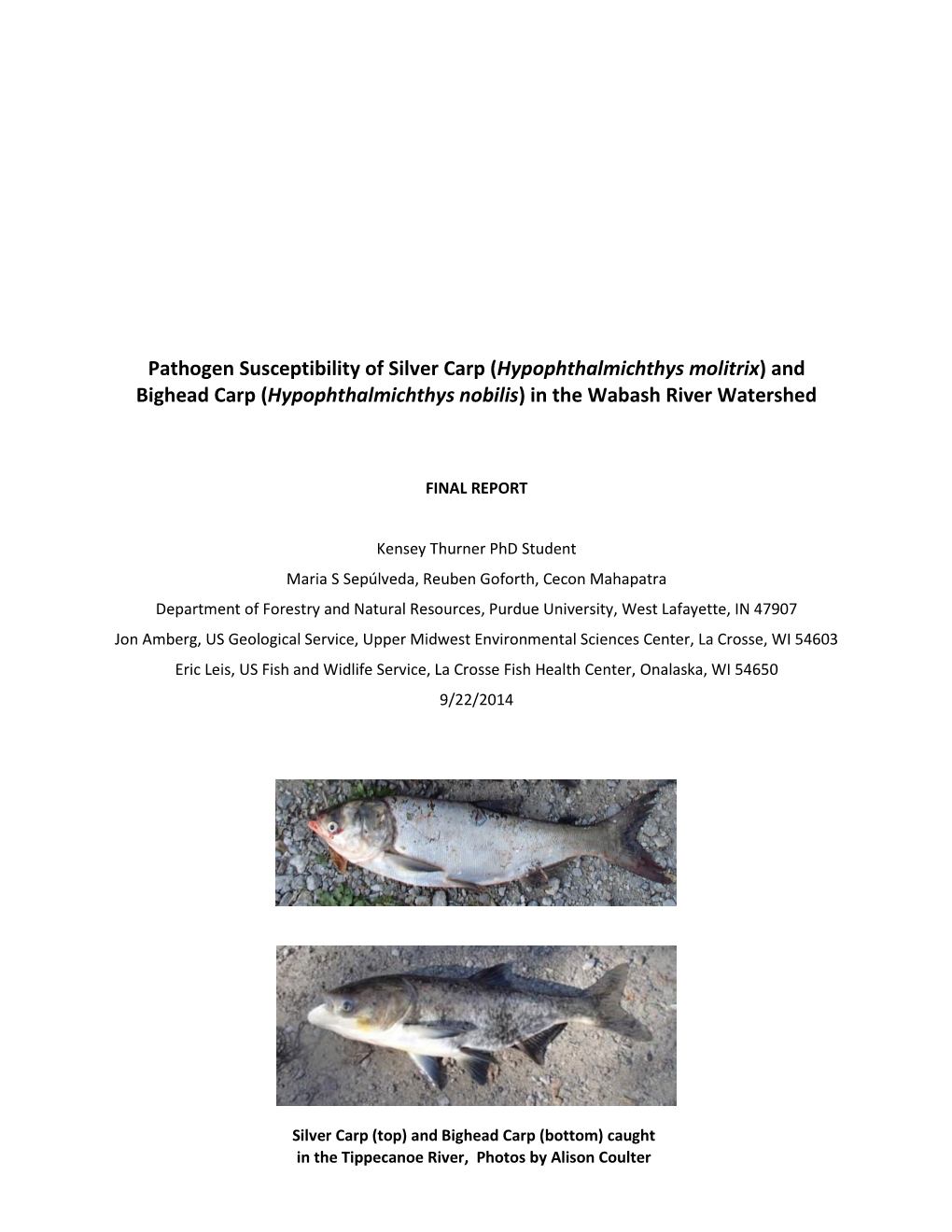 Pathogen Susceptibility of Silver Carp (Hypophthalmichthys Molitrix) and Bighead Carp (Hypophthalmichthys Nobilis) in the Wabash River Watershed