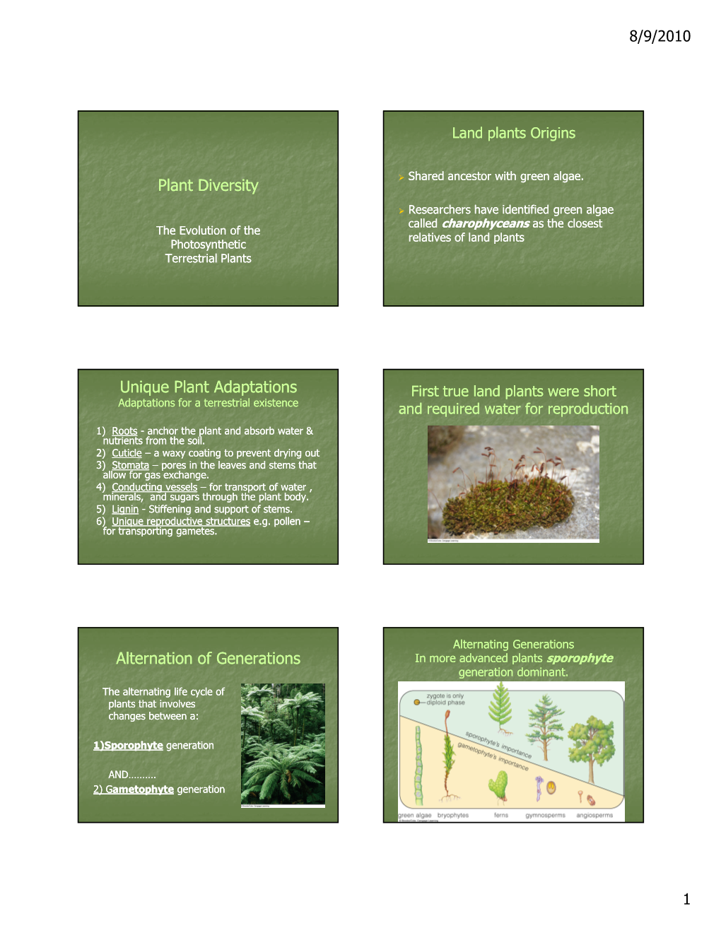 Plant Diversity Unique Plant Adaptations Alternation Of