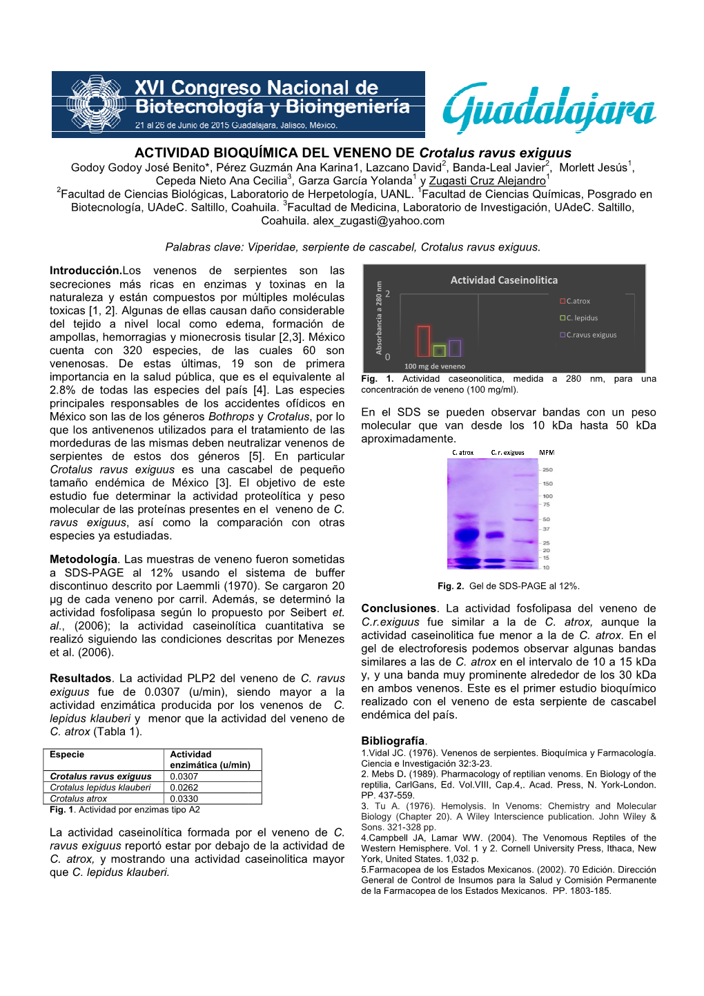 ACTIVIDAD BIOQUÍMICA DEL VENENO DE Crotalus Ravus Exiguus