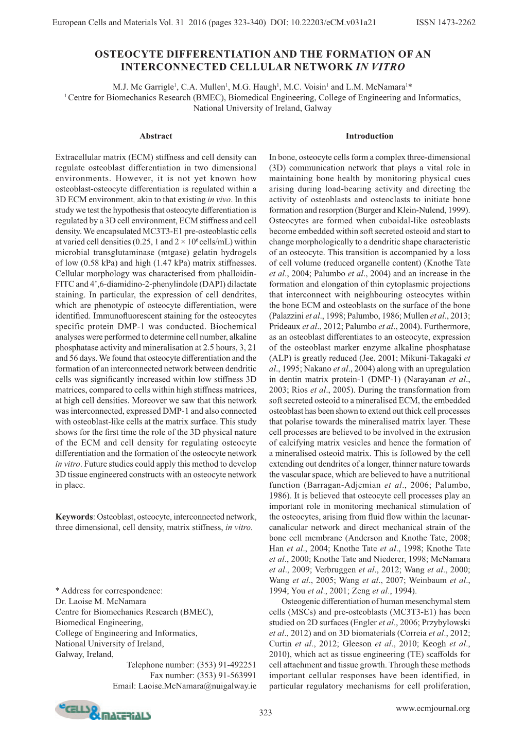 Osteocyte Differentiation and the Formation of an Interconnected Cellular Network in Vitro