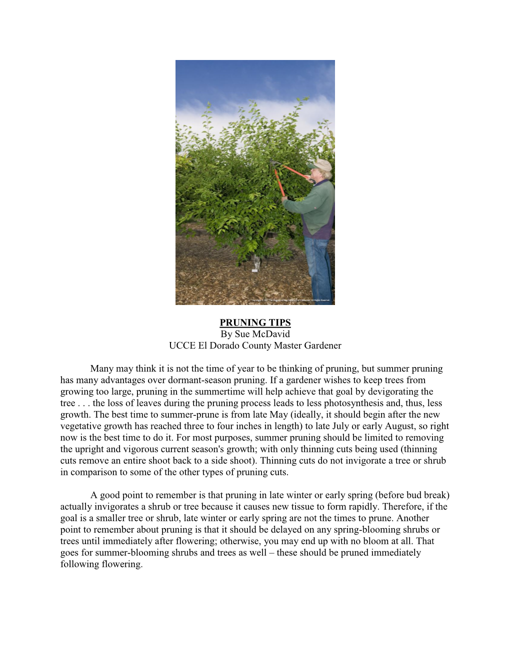 PRUNING TIPS by Sue Mcdavid UCCE El Dorado County Master Gardener