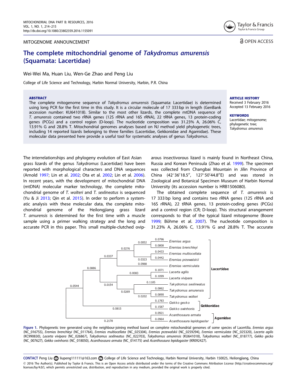 The Complete Mitochondrial Genome of Takydromus Amurensis (Squamata: Lacertidae)