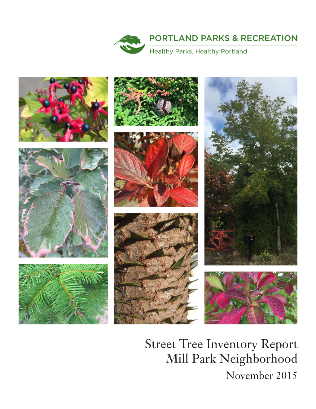 Street Tree Inventory Report Mill Park Neighborhood November 2015 Street Tree Inventory Report: Mill Park Neighborhood November 2015