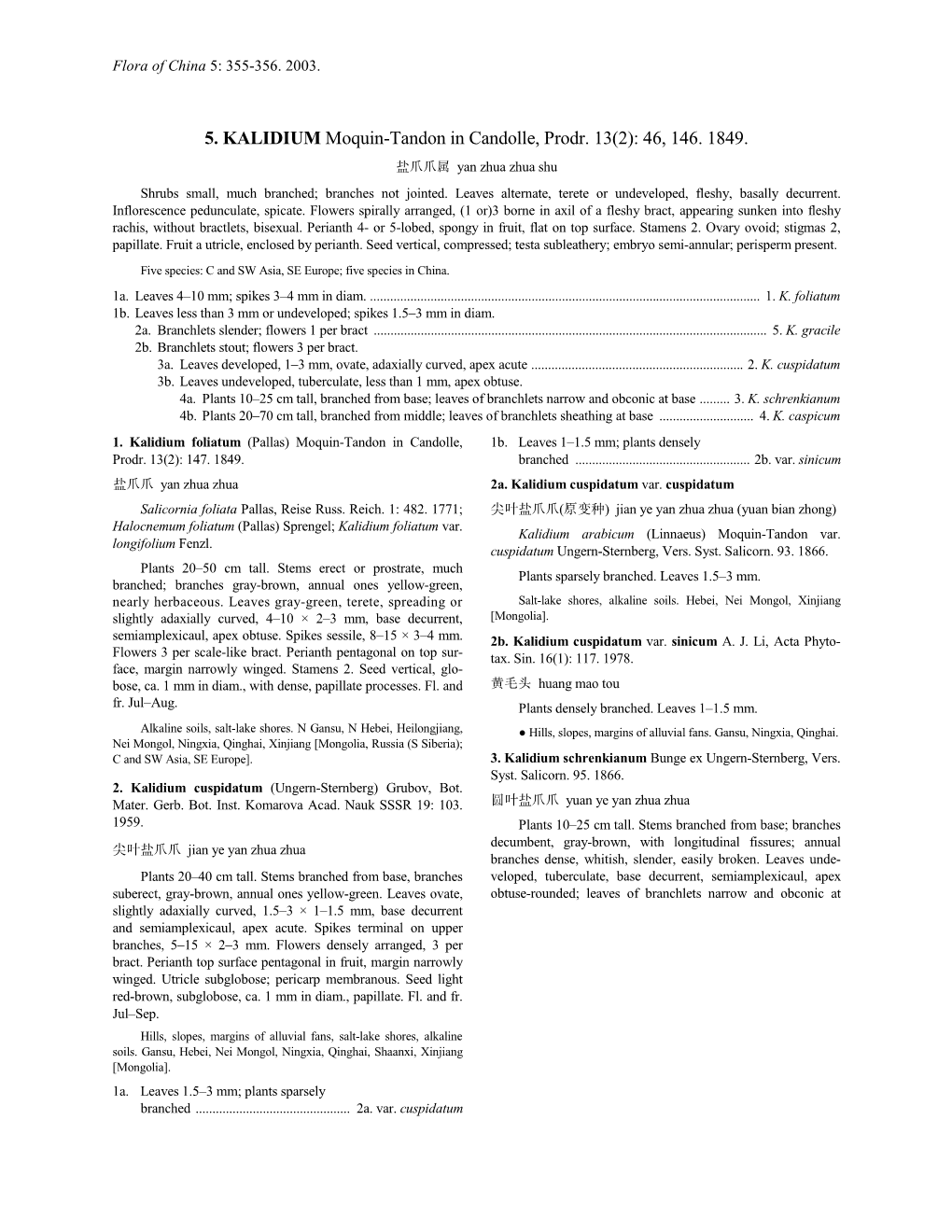 5. KALIDIUM Moquin-Tandon in Candolle, Prodr. 13(2): 46, 146