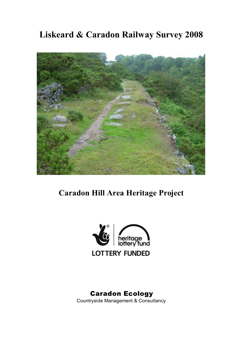 Liskeard & Caradon Railway Survey 2008