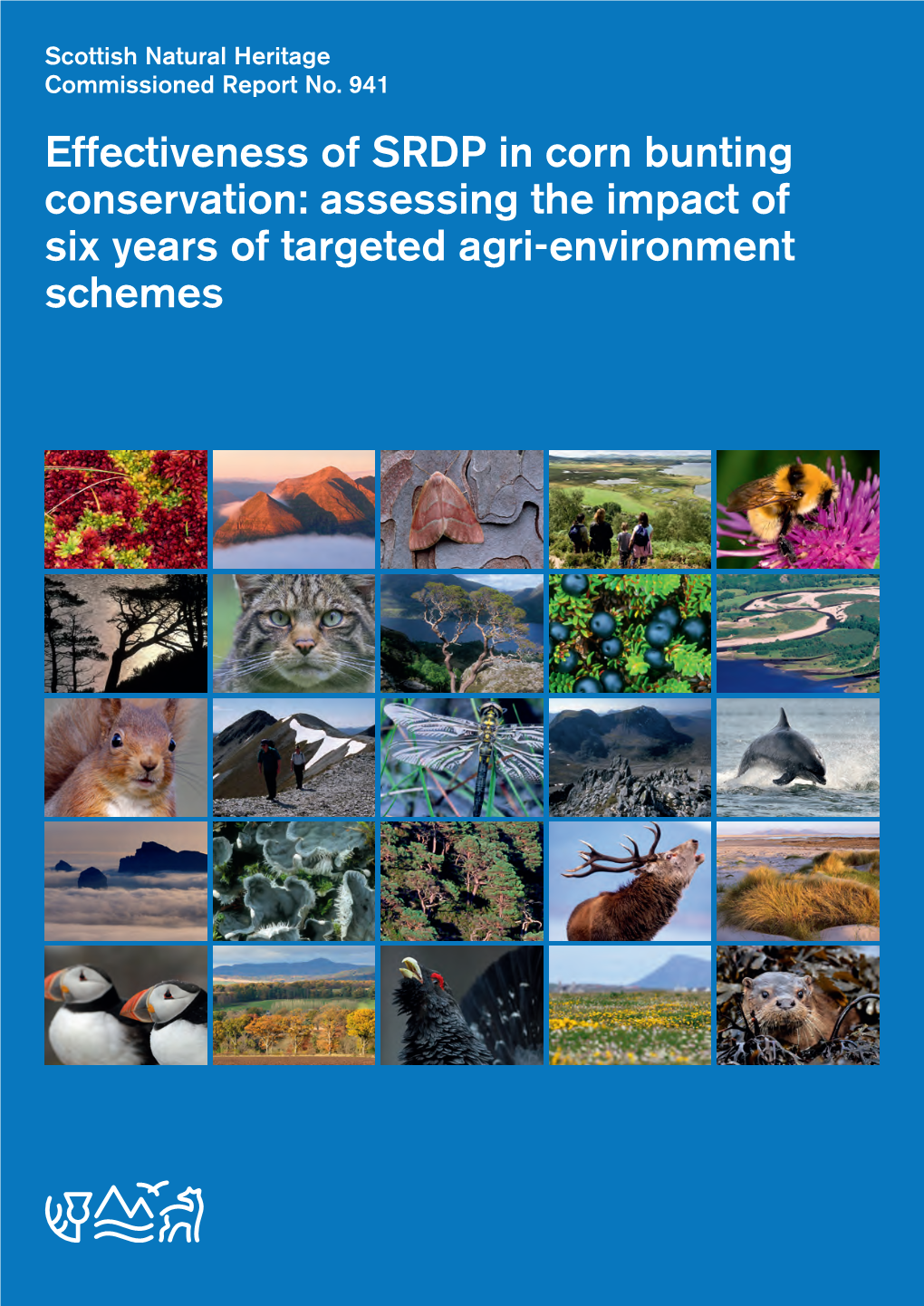 Effectiveness of SRDP in Corn Bunting Conservation: Assessing the Impact of Six Years of Targeted Agri-Environment Schemes