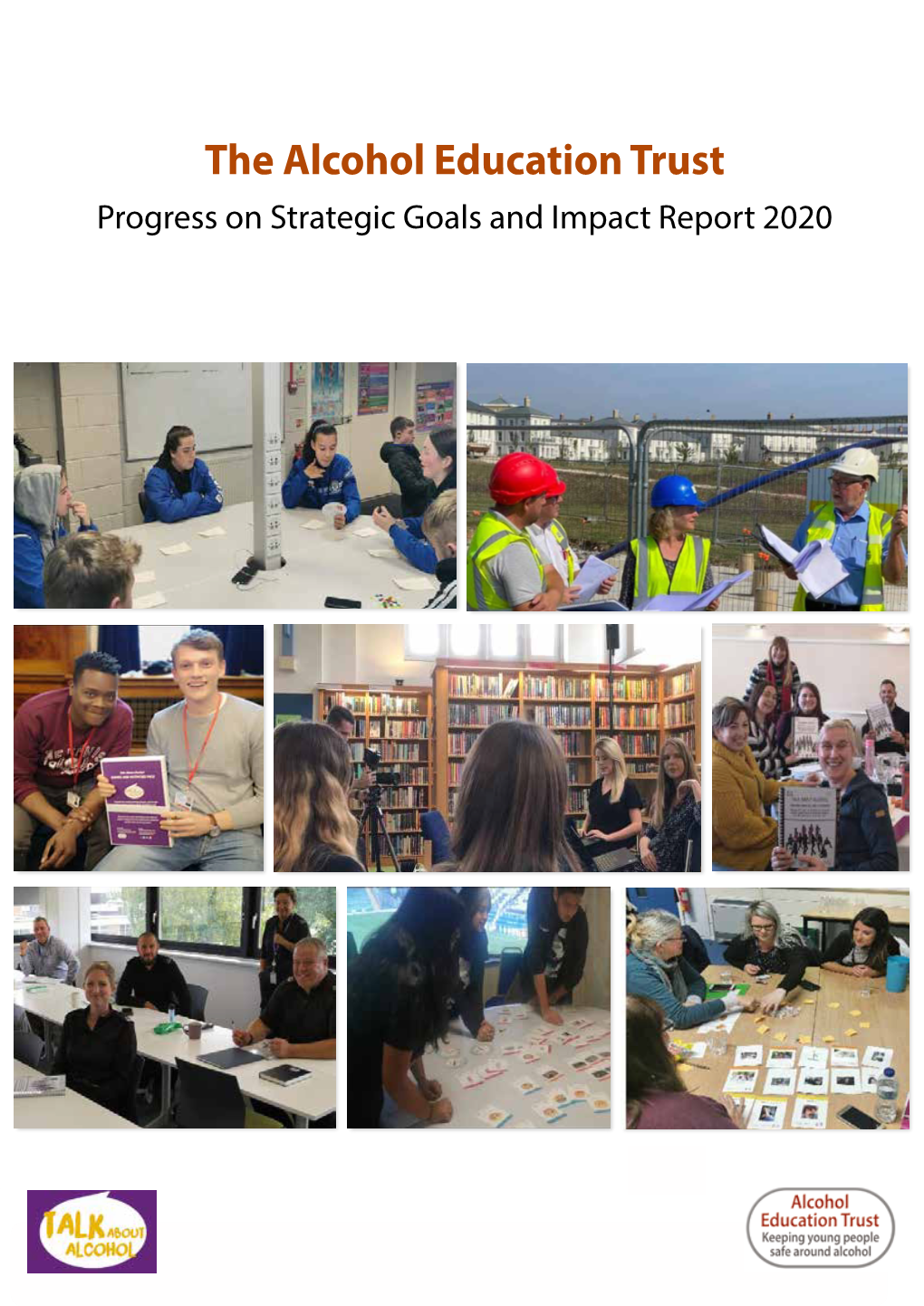 Progress and Impact Report 2020