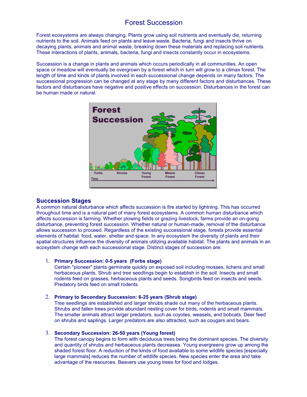 Forest Succession