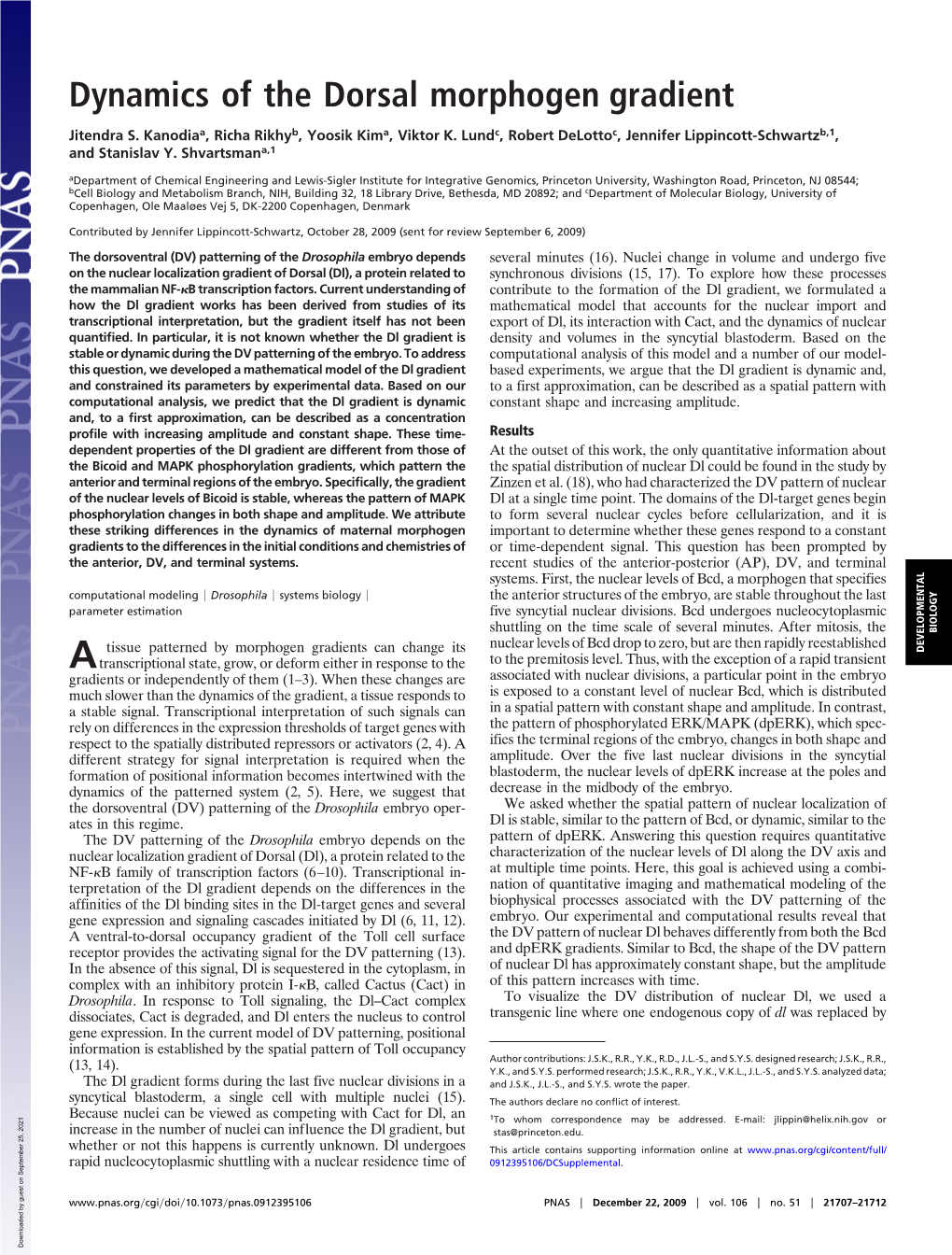 Dynamics of the Dorsal Morphogen Gradient