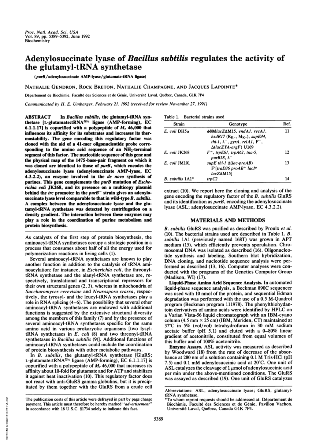 Adenylosuccinate Lyase of Bacillus Subtilis Regulates the Activity of The