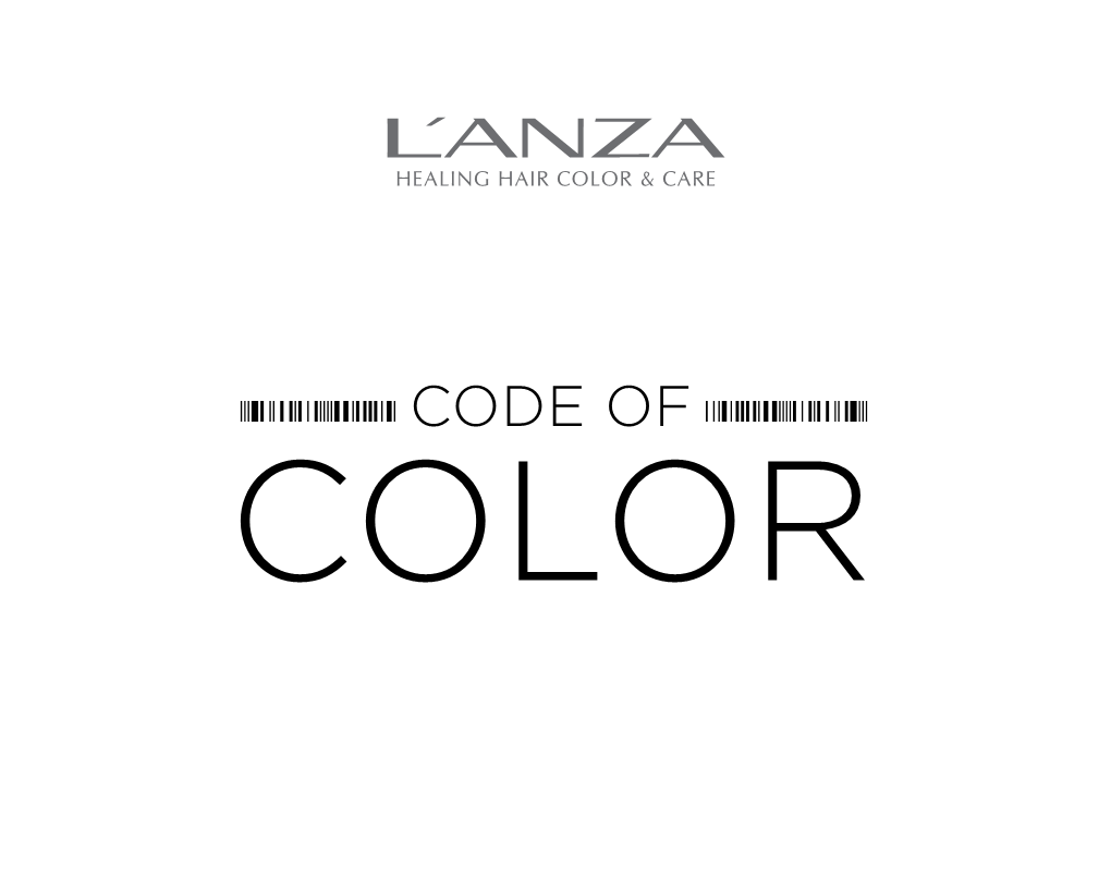 CODE of COLOR CODE of COLOR COLOR THEORY Color Perception 2 the Color Wheel 3 the Language of Hair Color 4