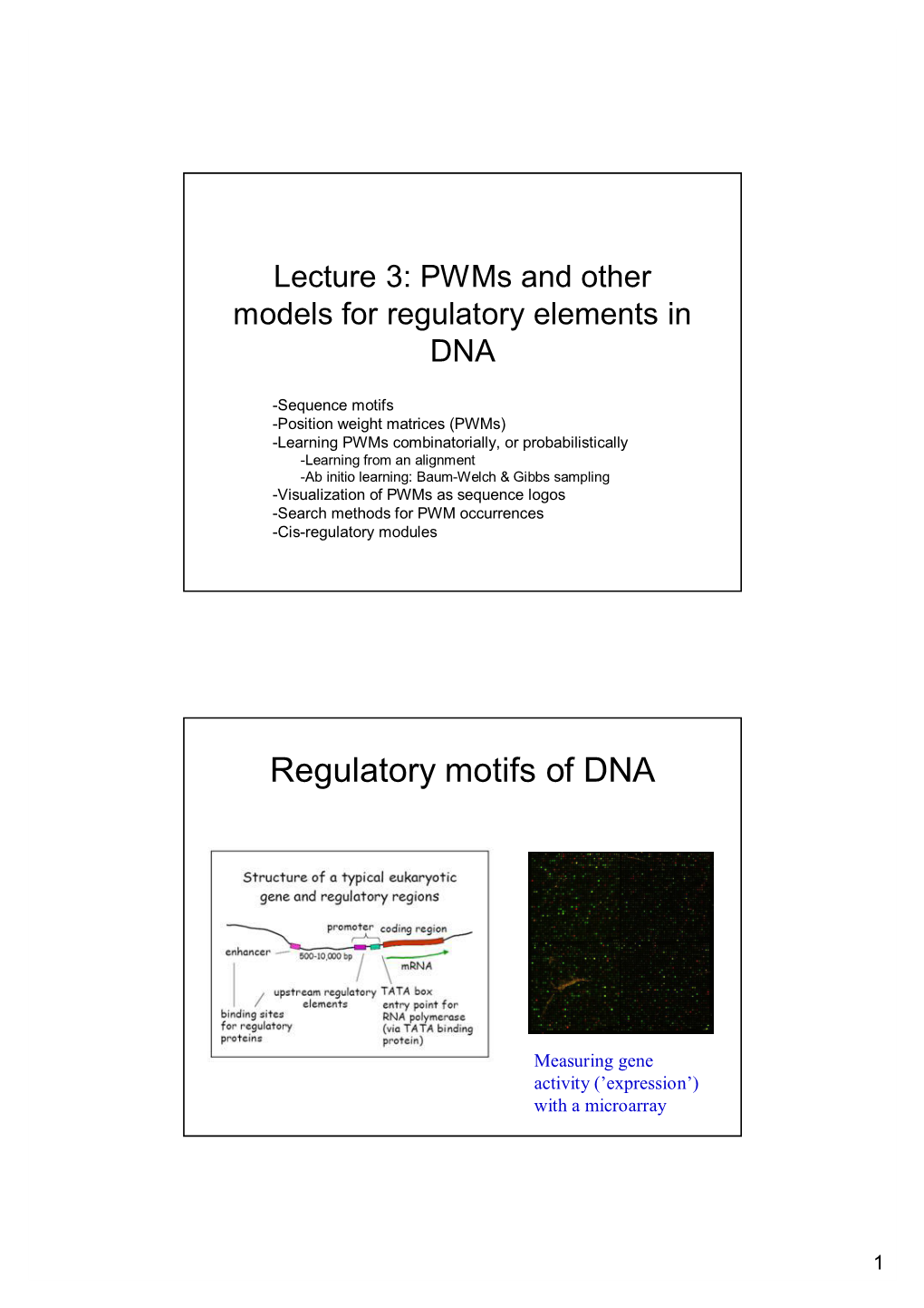Regulatory Motifs of DNA