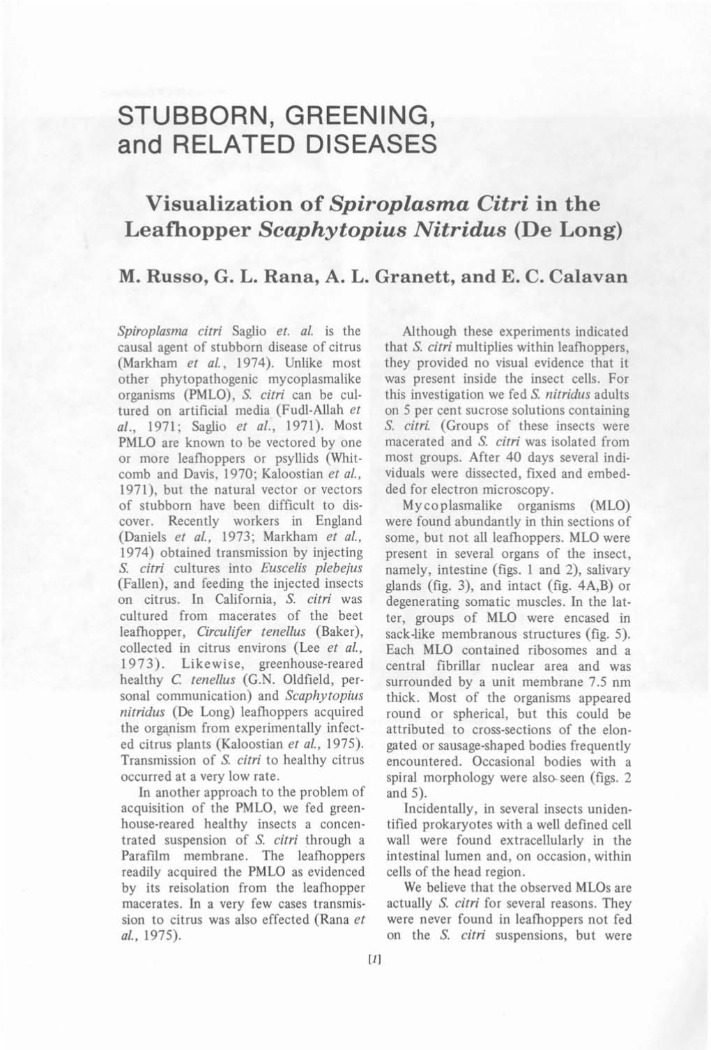 STUBBORN, GREENING, and RELATED DISEASES