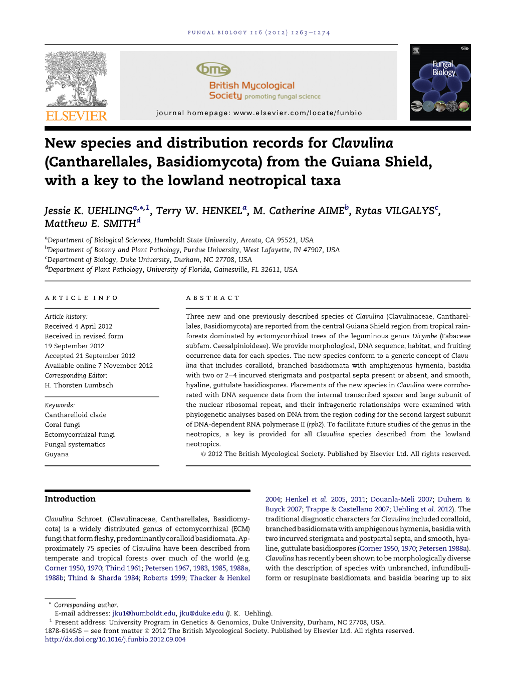 New Species and Distribution Records for Clavulina (Cantharellales, Basidiomycota) from the Guiana Shield, with a Key to the Lowland Neotropical Taxa