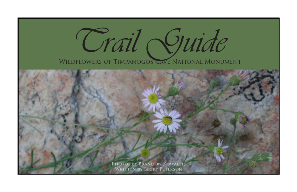 Trail Guide: Wildflowers of Timpanogos Cave National