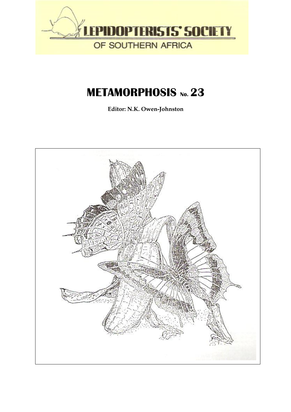 METAMORPHOSIS No. 23