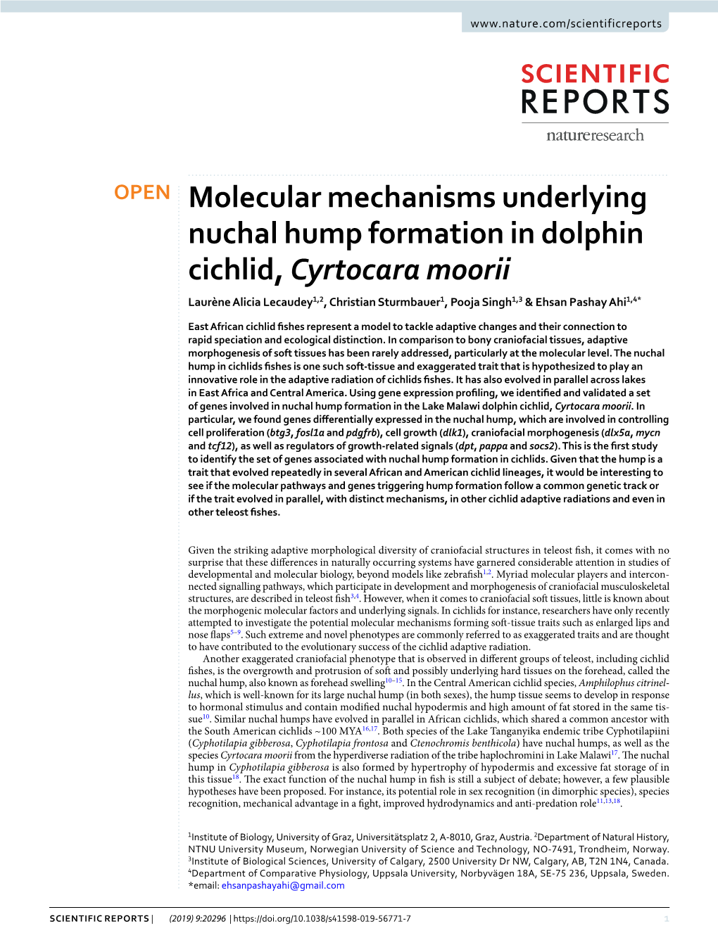 Molecular Mechanisms Underlying Nuchal Hump Formation in Dolphin Cichlid, Cyrtocara Moorii