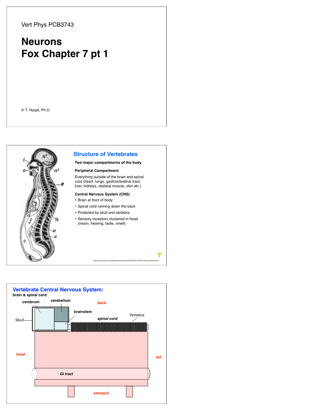 L03 Neurons to Post.Key