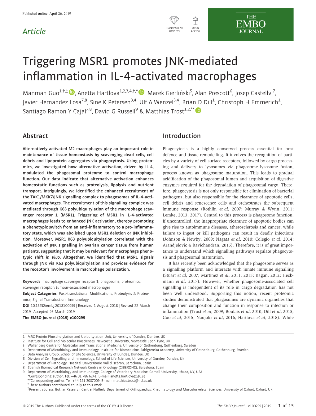 Triggering MSR1 Promotes JNK‐Mediated Inflammation in IL‐4