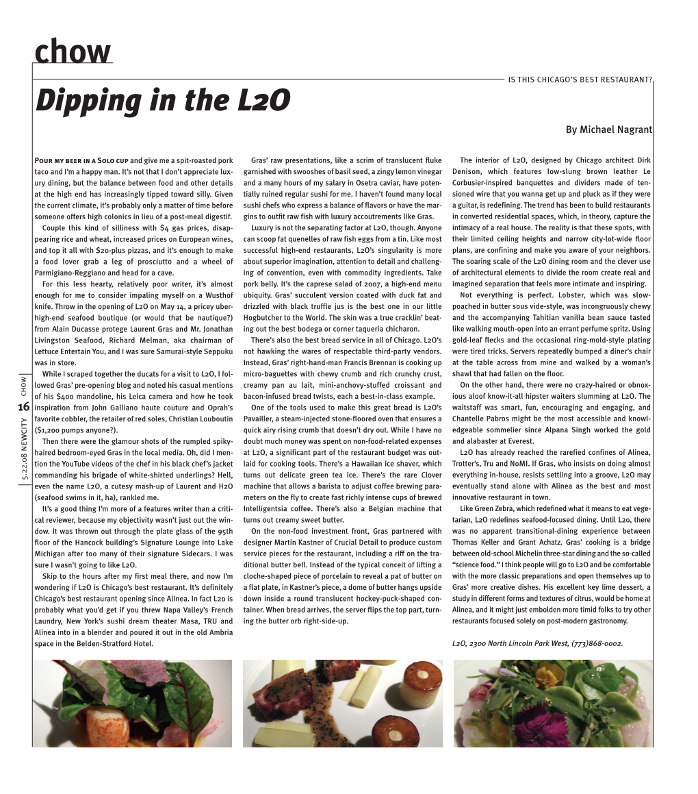 Dipping in the L2O by Michael Nagrant