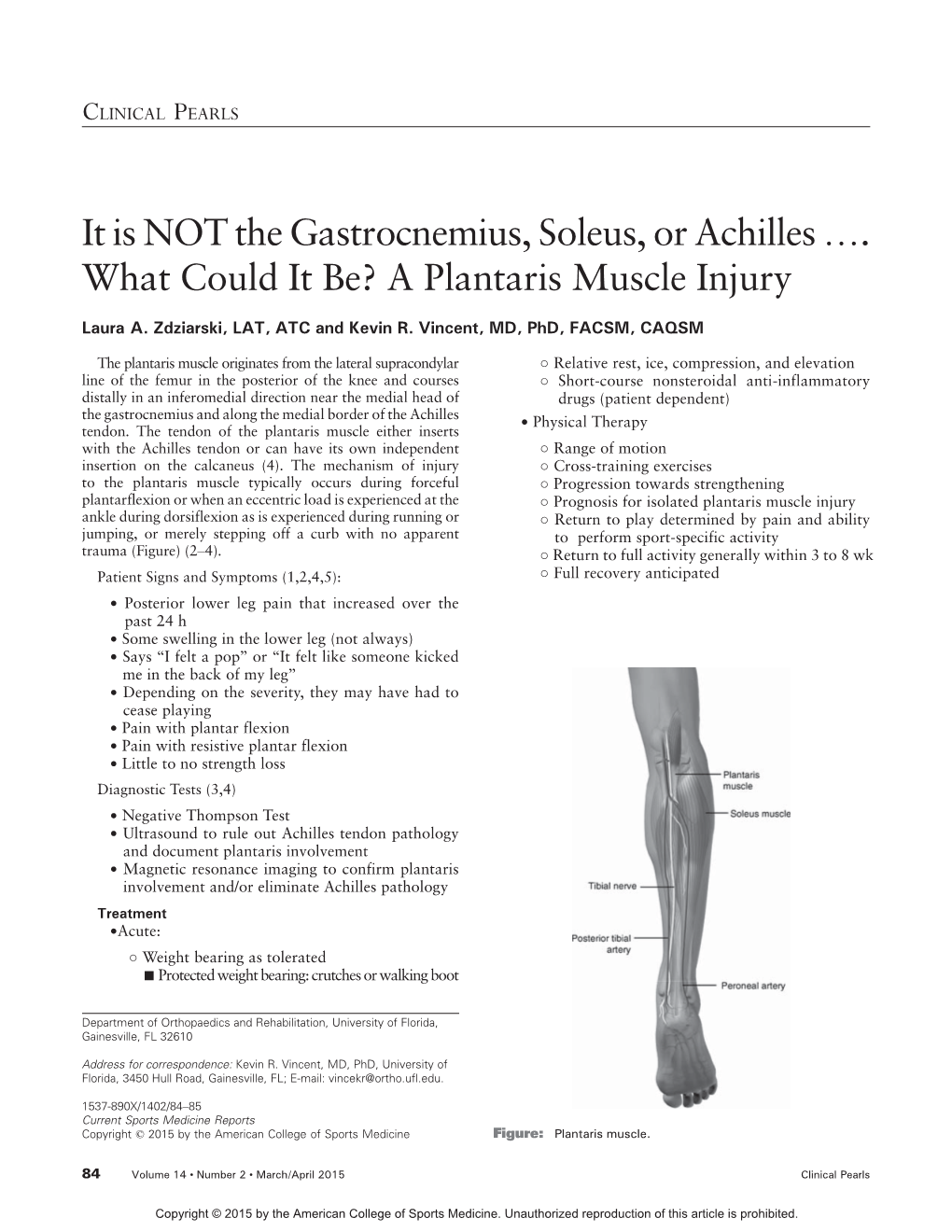 It Is NOT the Gastrocnemius, Soleus, Or Achillesi. What Could It Be? a Plantaris Muscle Injury