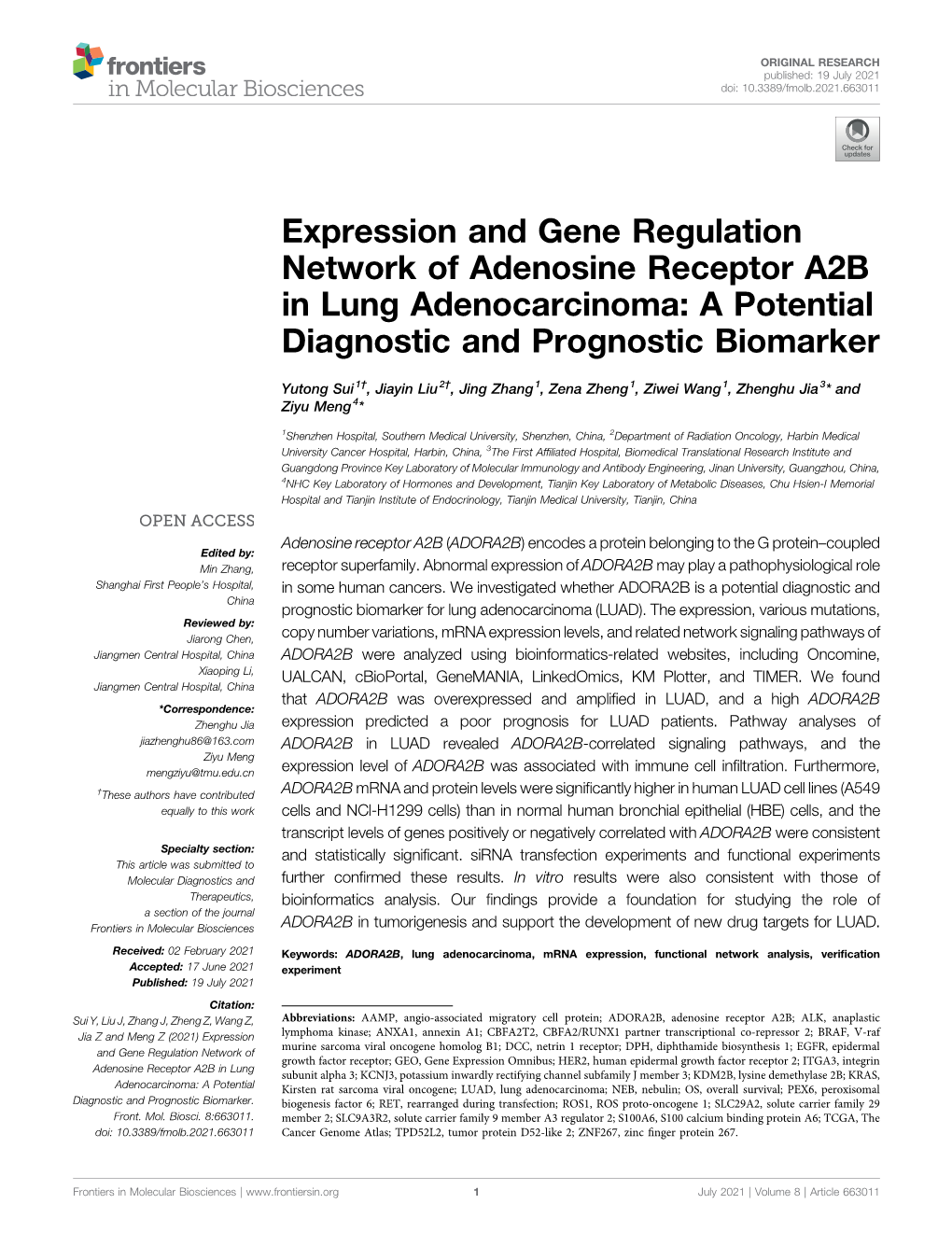 Expression and Gene Regulation Network of Adenosine Receptor A2B in Lung Adenocarcinoma: a Potential Diagnostic and Prognostic Biomarker