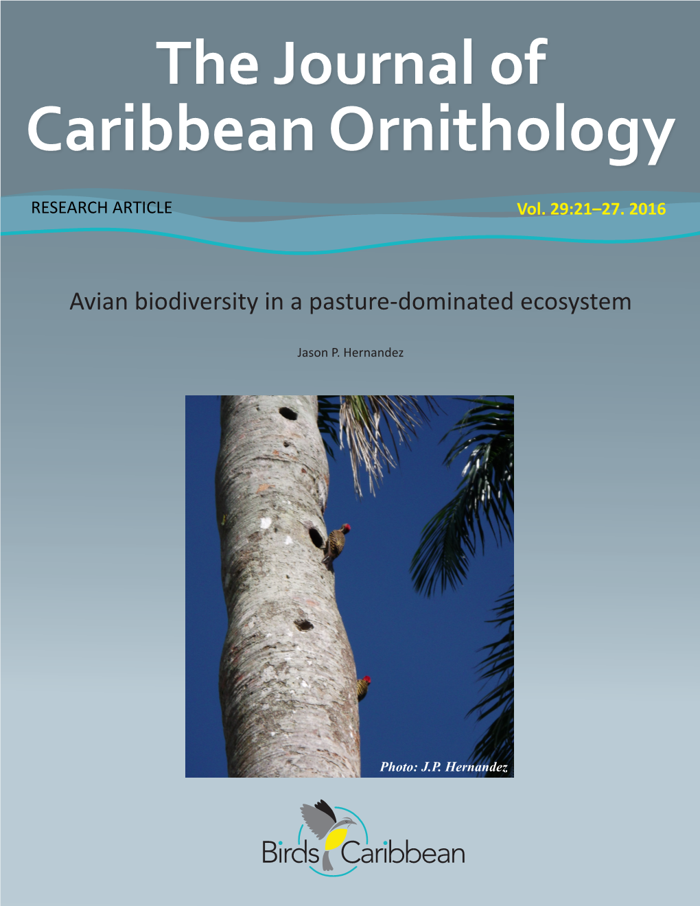 Caribbean Ornithology