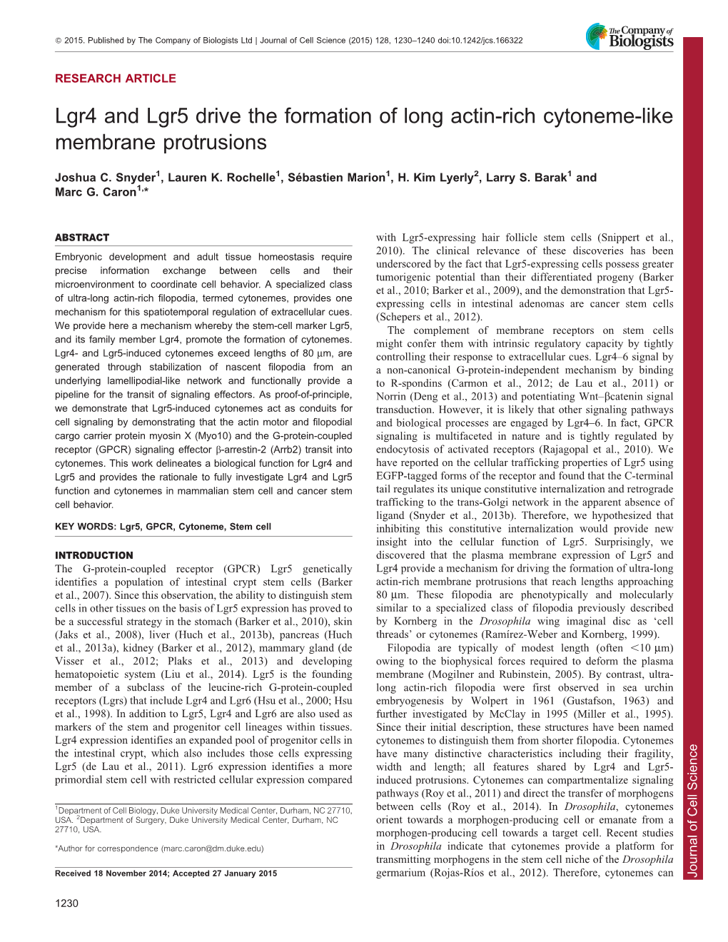 Lgr4 and Lgr5 Drive the Formation of Long Actin-Rich Cytoneme-Like