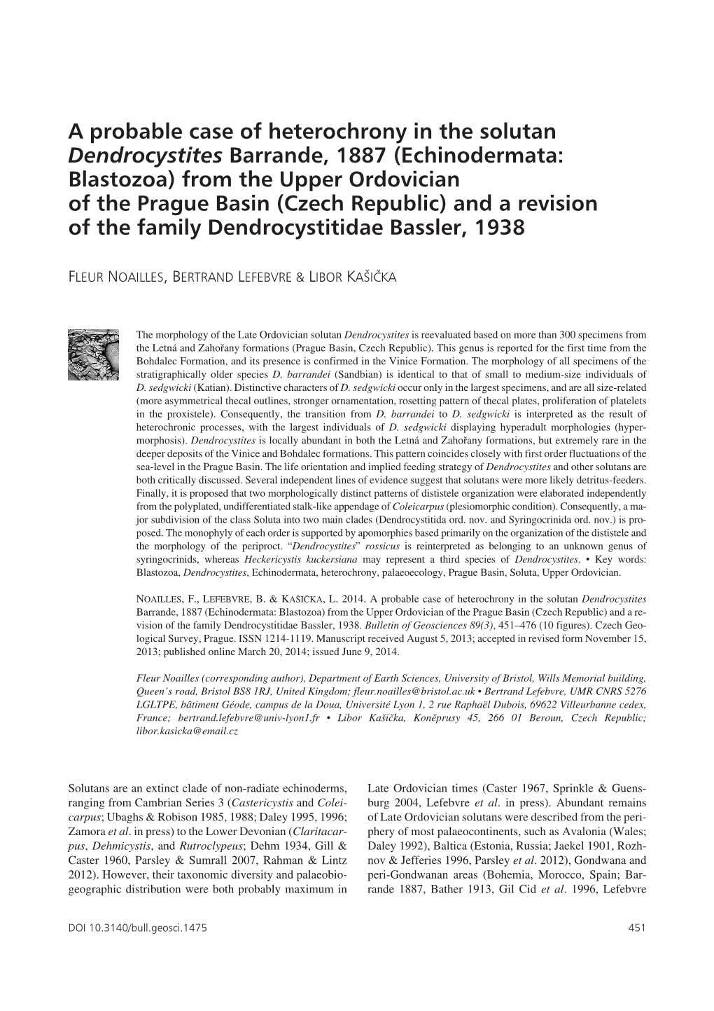 A Probable Case of Heterochrony in the Solutan