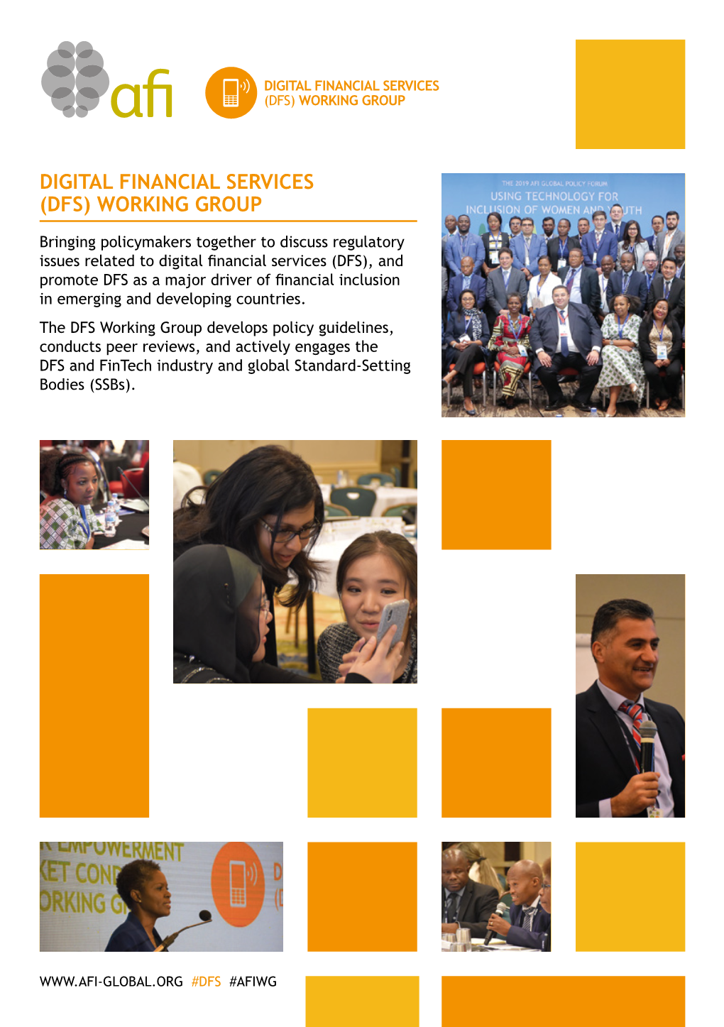 Digital Financial Services (Dfs) Working Group