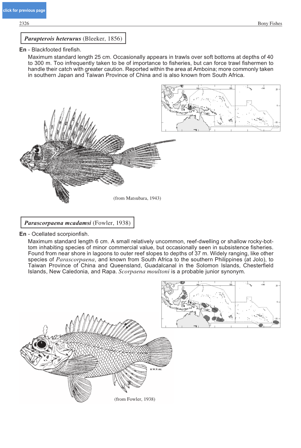 Parapterois Heterurus (Bleeker, 1856) Parascorpaena Mcadamsi (Fowler