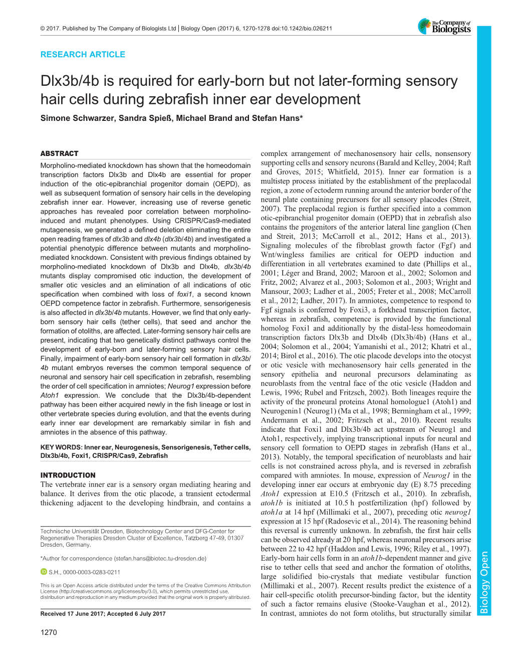 Dlx3b/4B Is Required for Early-Born but Not Later-Forming Sensory Hair Cells