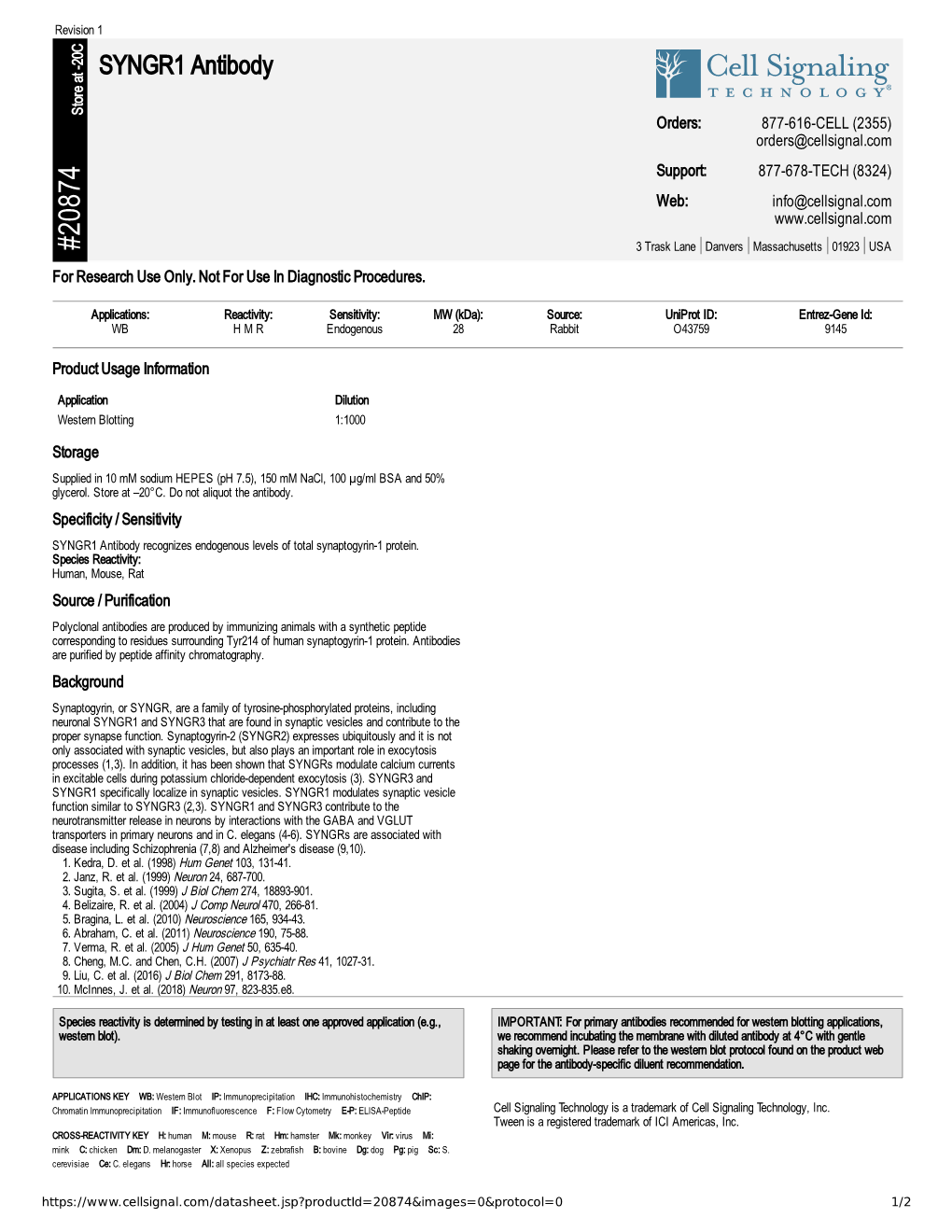 20874 SYNGR1 Antibody