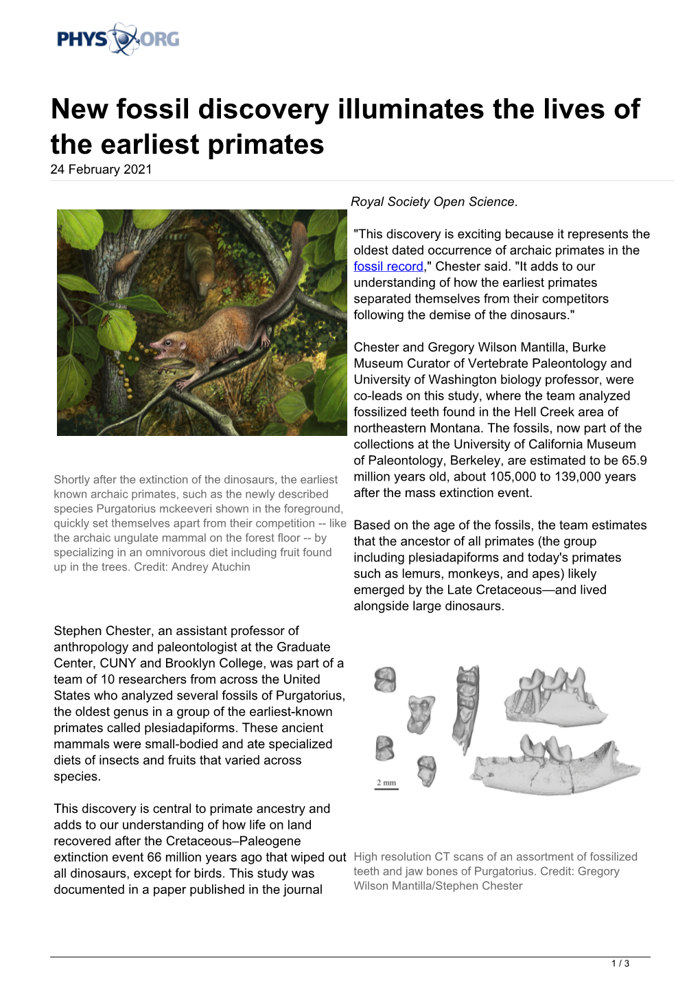 New Fossil Discovery Illuminates the Lives of the Earliest Primates 24 February 2021