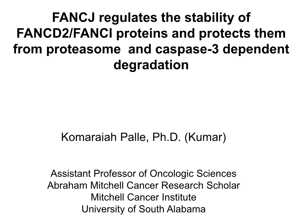 FANCJ Regulates the Stability of FANCD2/FANCI Proteins and Protects Them from Proteasome and Caspase-3 Dependent Degradation