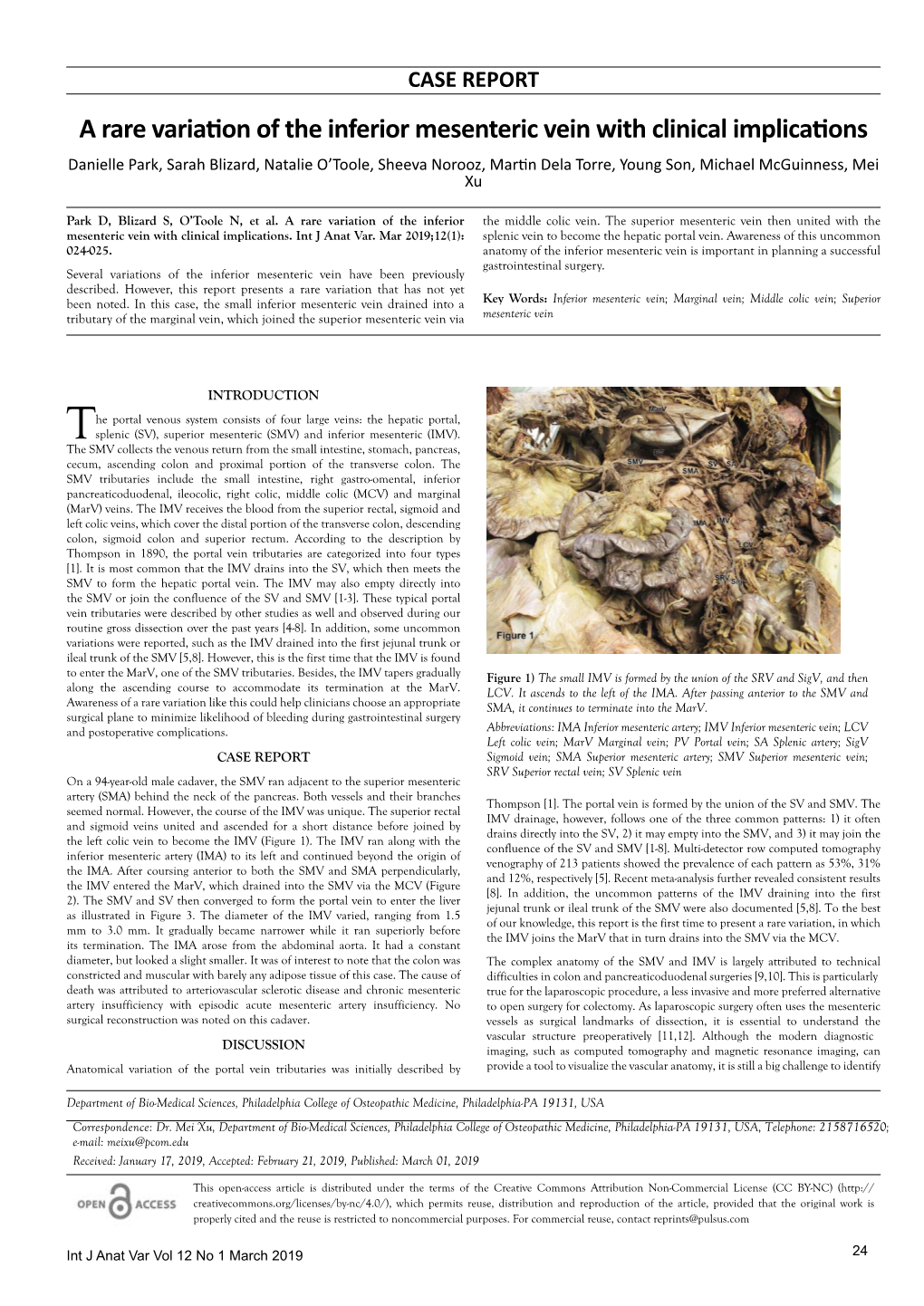 A Rare Variation of the Inferior Mesenteric Vein with Clinical