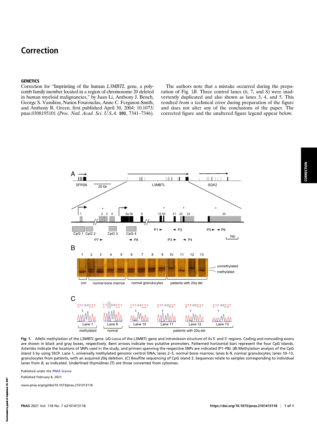 Imprinting of the Human L3MBTL Gene, a Polycomb Family Member Located in a Region of Chromosome 20 Deleted in Human Myeloid Malignancies