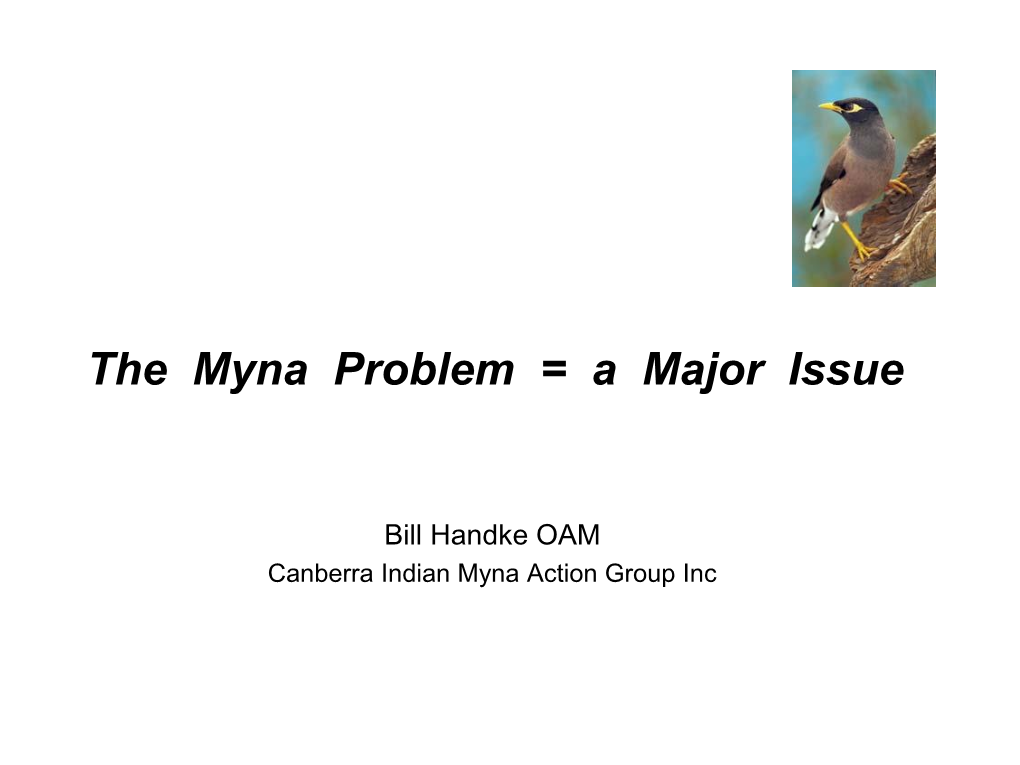 Tackling Indian Mynas