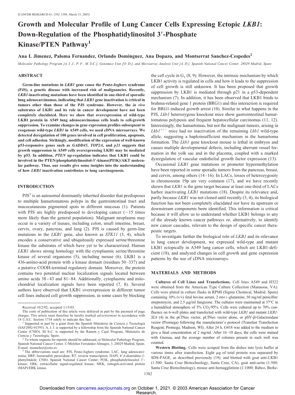 Growth and Molecular Profile of Lung Cancer Cells Expressing Ectopic LKB1: Down-Regulation of the Phosphatidylinositol 3؅-Phosphate Kinase/PTEN Pathway1