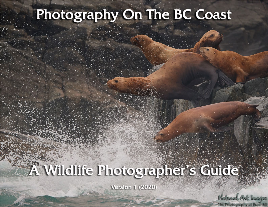 A Wildlife Photographer's Guide