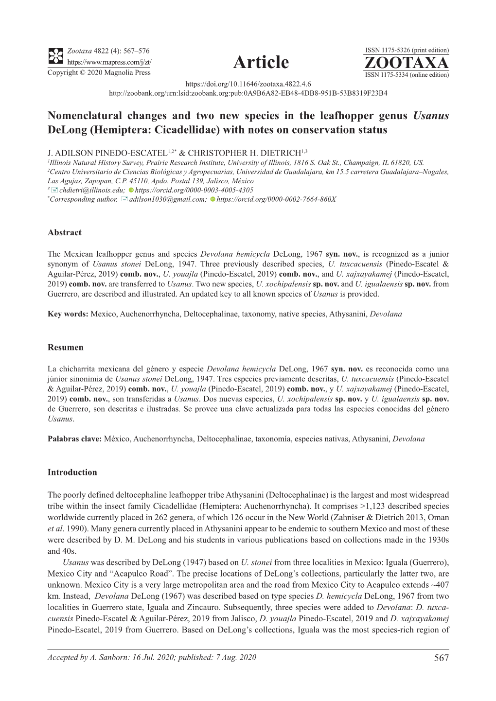 Nomenclatural Changes and Two New Species in the Leafhopper Genus Usanus Delong (Hemiptera: Cicadellidae) with Notes on Conservation Status