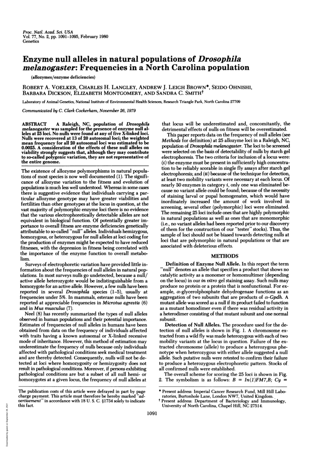 Enzyme Null Alleles in Natural Populations of Drosophila Melanogaster: Frequencies in a North Carolina Population (Allozymes/Enzyme Deficiencies) ROBERT A