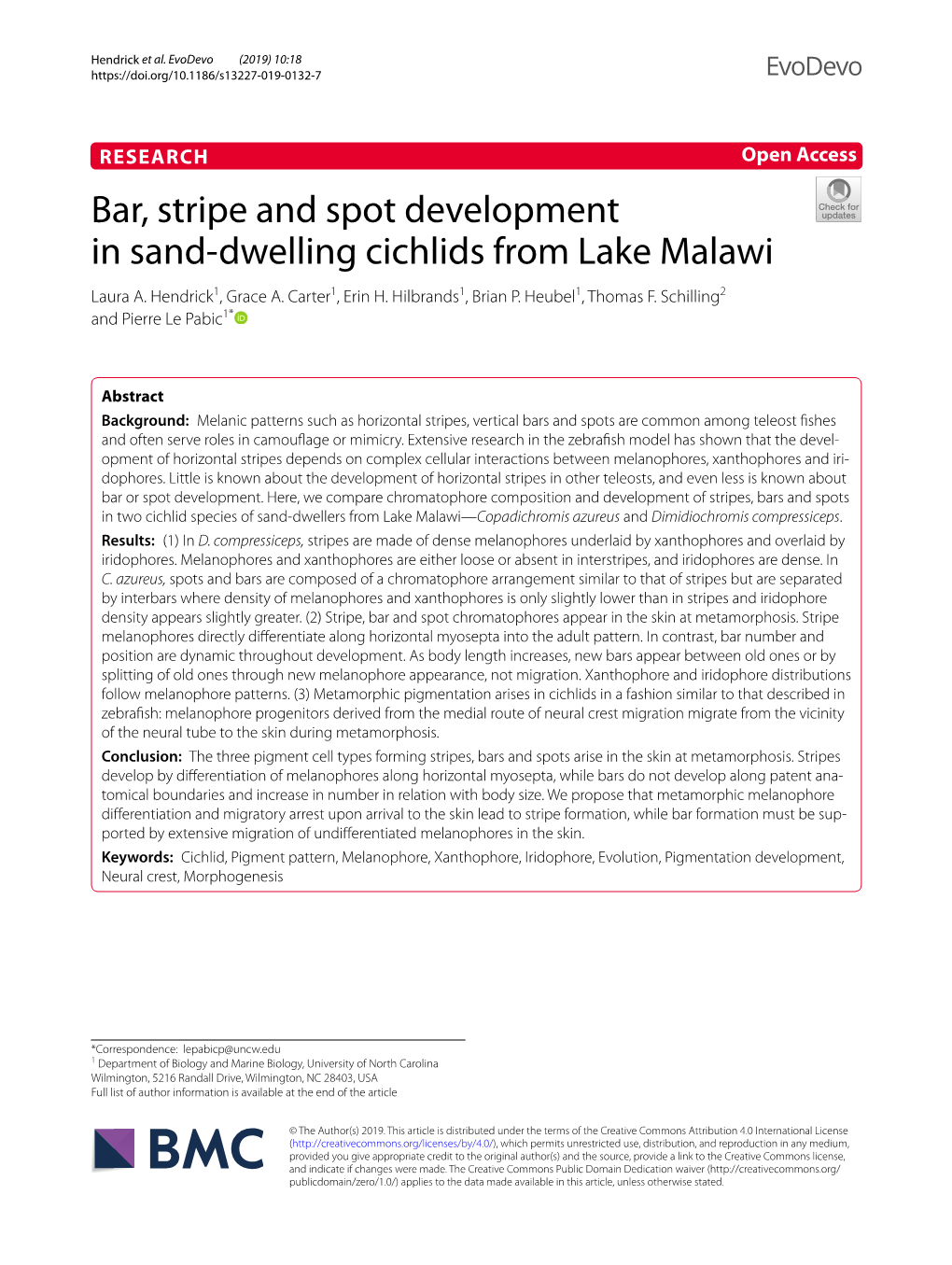 Bar, Stripe and Spot Development in Sand-Dwelling Cichlids from Lake Malawi