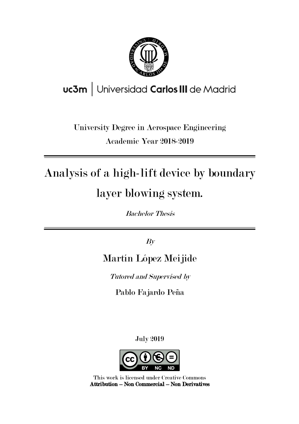 Analysis of a High-Lift Device by Boundary Layer Blowing System