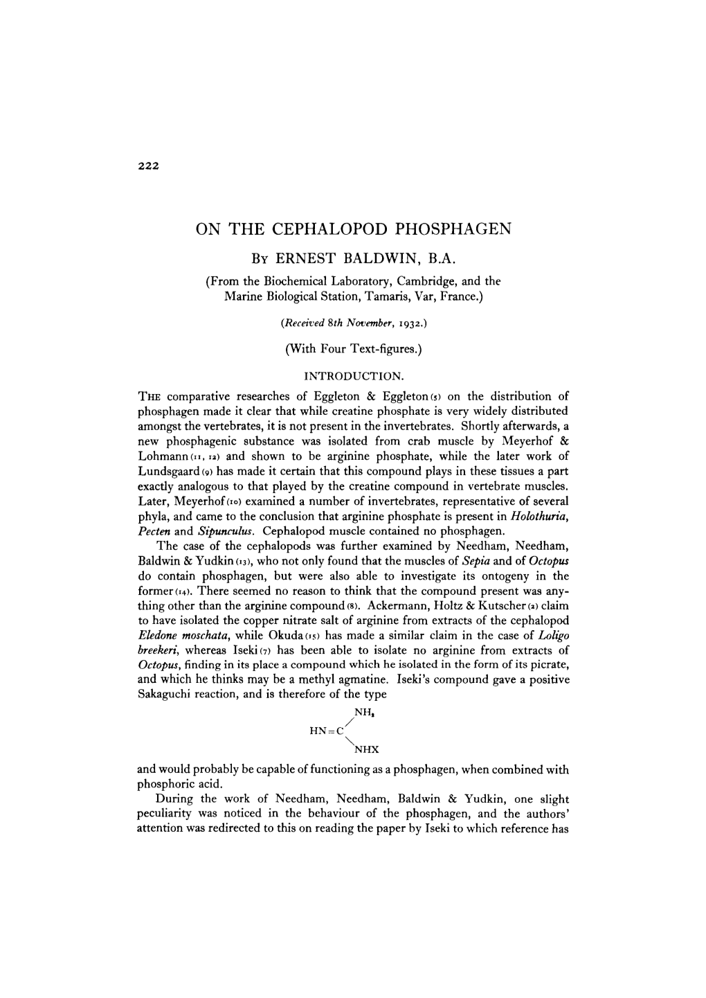 On the Cephalopod Phosphagen by Ernest Baldwin, B.A