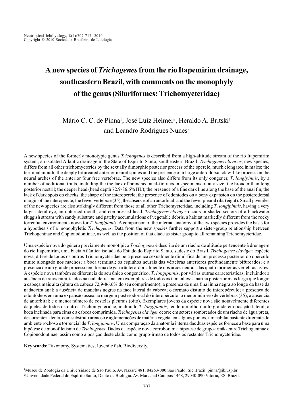 A New Species of Trichogenesfrom the Rio Itapemirim Drainage