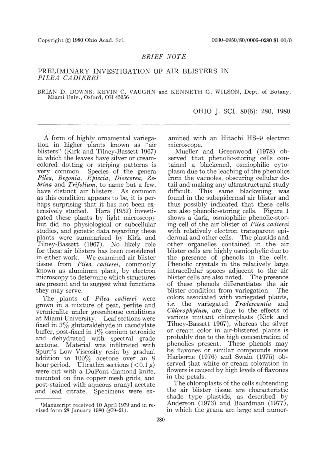 Brief Note: Preliminary Investigation of Air Blisters in Pilea Cadierei