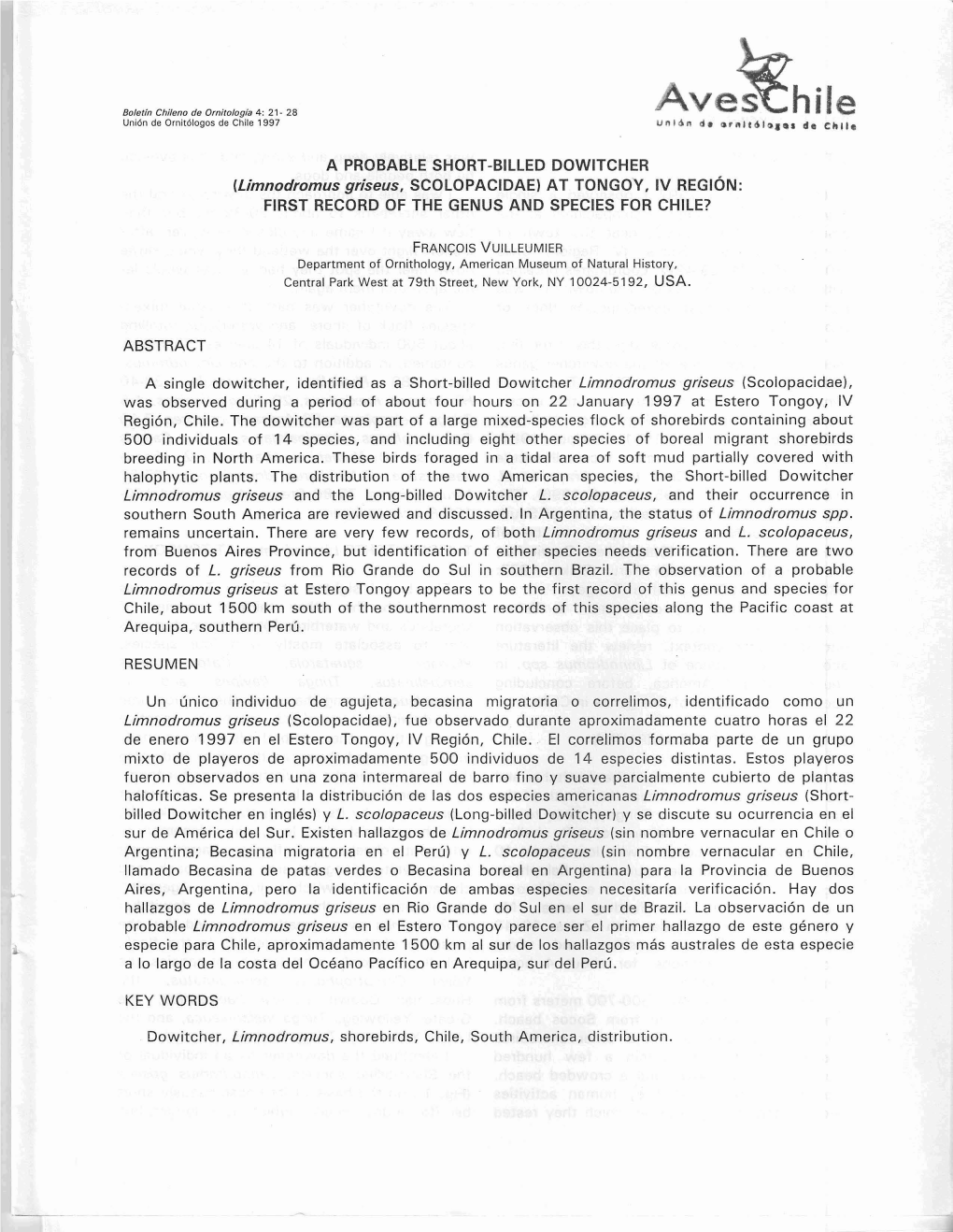 A PROBABLE SHORT-BILLED DOWITCHER (Limnodromus Griseus, SCOLOPACIDAE) at TONGOY, IV REGION: FIRST RECORD of the GENUS and SPECIES for CHILE?