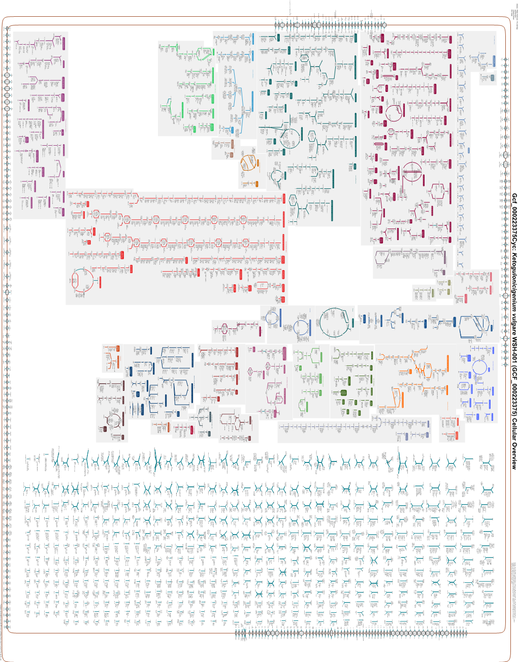 Generated by SRI International Pathway Tools Version 25.0, Authors S